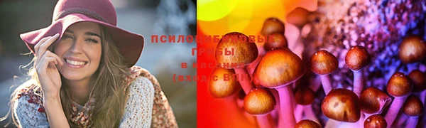 спиды Березники