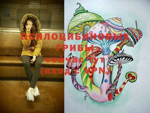 спиды Березники