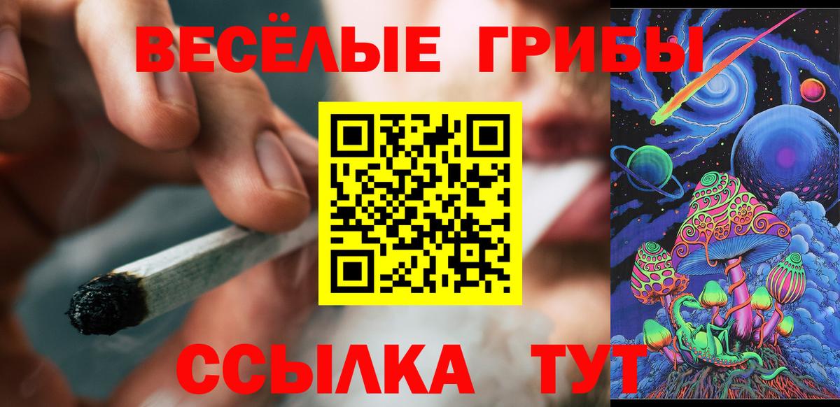 купить закладку  Галлюциногенные грибы ЛСД  Брянск  Галлюциногенные грибы Cubensis 