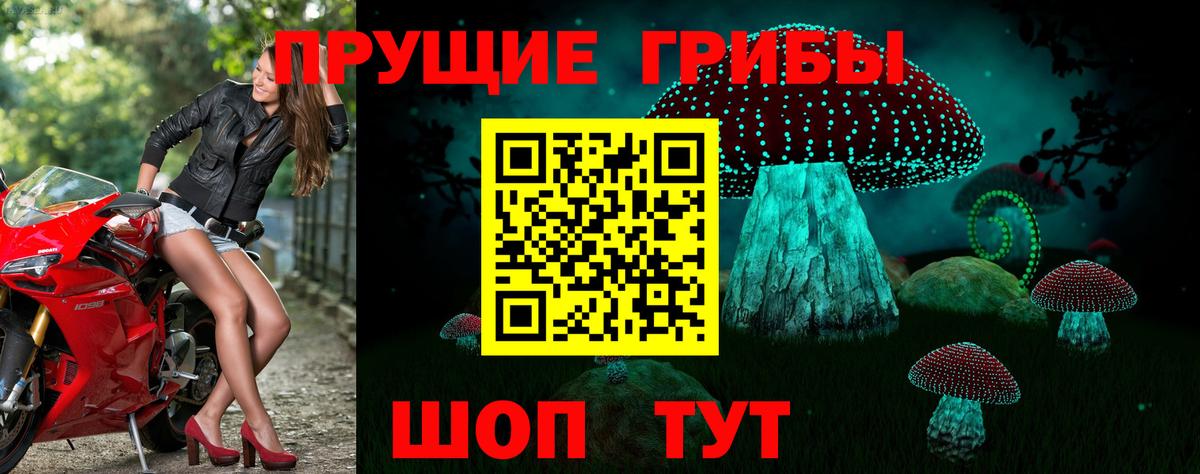 Галлюциногенные грибы мицелий Брянск